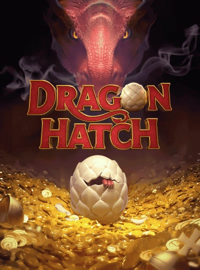 BPL match betting cover